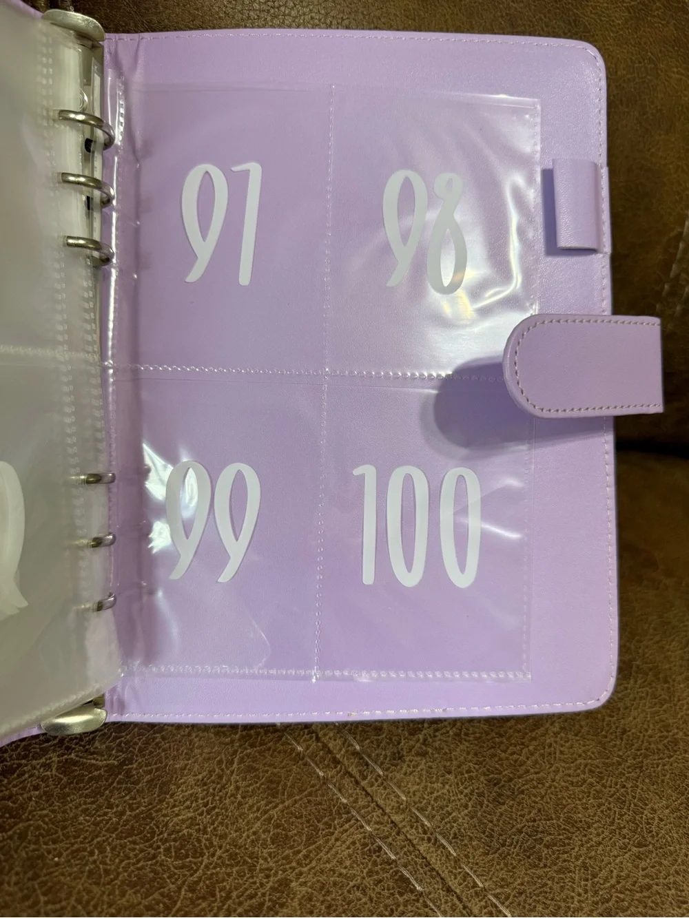 100 Envelope Savings Challenge Binder - Light Pink